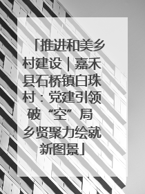 推进和美乡村建设｜嘉禾县石桥镇白珠村：党建引领破“空”局 乡贤聚力绘就新图景