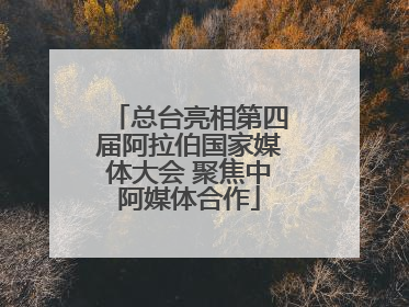 总台亮相第四届阿拉伯国家媒体大会 聚焦中阿媒体合作
