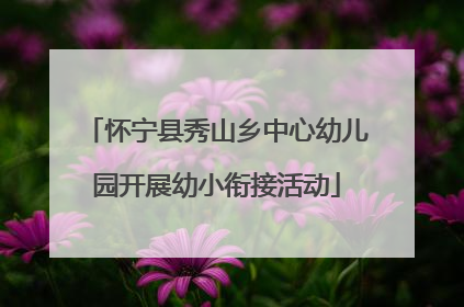 怀宁县秀山乡中心幼儿园开展幼小衔接活动