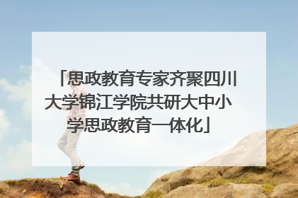 思政教育专家齐聚四川大学锦江学院共研大中小学思政教育一体化
