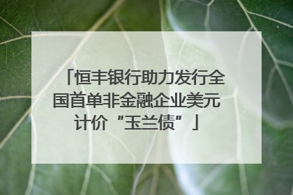 恒丰银行助力发行全国首单非金融企业美元计价“玉兰债”