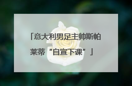 意大利男足主帅斯帕莱蒂“自宣下课”