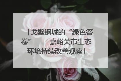 戈壁钢城的“绿色答卷”——嘉峪关市生态环境持续改善观察