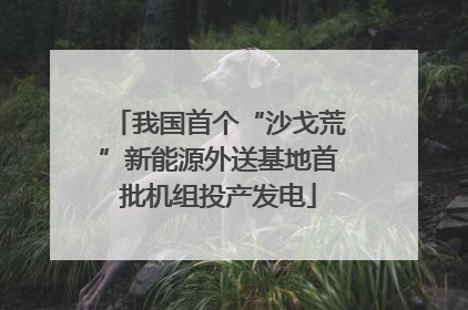 我国首个“沙戈荒”新能源外送基地首批机组投产发电