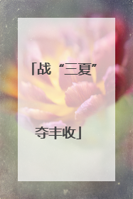 战“三夏” 夺丰收