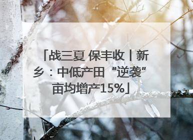 战三夏 保丰收丨新乡：中低产田“逆袭” 亩均增产15%