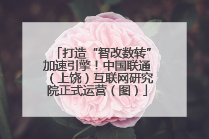 打造“智改数转”加速引擎！中国联通（上饶）互联网研究院正式运营（图）