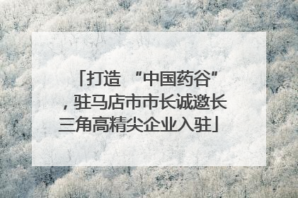 打造 “中国药谷”，驻马店市市长诚邀长三角高精尖企业入驻