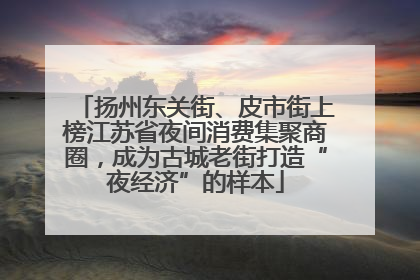 扬州东关街、皮市街上榜江苏省夜间消费集聚商圈，成为古城老街打造“夜经济”的样本