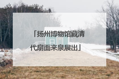 扬州博物馆藏清代扇面来泉展出