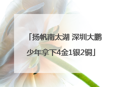 扬帆南太湖 深圳大鹏少年拿下4金1银2铜
