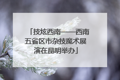技炫西南——西南五省区市杂技魔术展演在昆明举办