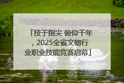 技于指尖 俯仰千年，2025全省文物行业职业技能竞赛启幕