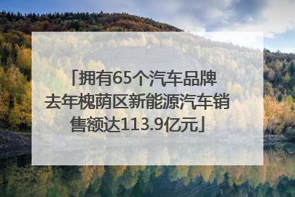 拥有65个汽车品牌 去年槐荫区新能源汽车销售额达113.9亿元