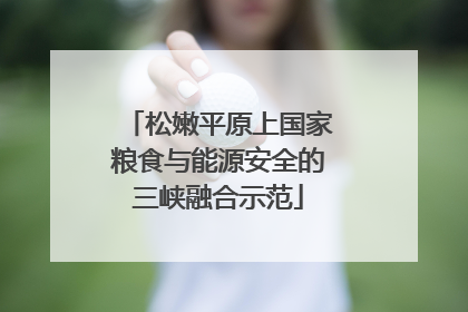 松嫩平原上国家粮食与能源安全的三峡融合示范
