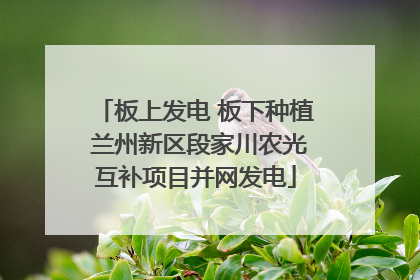 板上发电 板下种植 兰州新区段家川农光互补项目并网发电