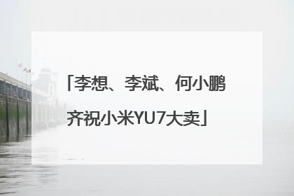 李想、李斌、何小鹏齐祝小米YU7大卖