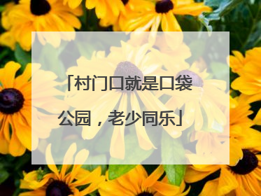 村门口就是口袋公园，老少同乐