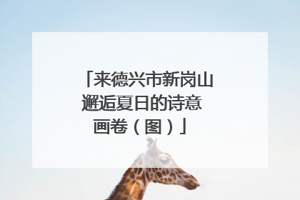 来德兴市新岗山 邂逅夏日的诗意画卷（图）