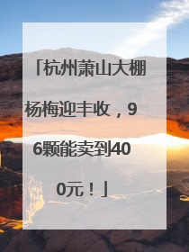 杭州萧山大棚杨梅迎丰收，96颗能卖到400元！
