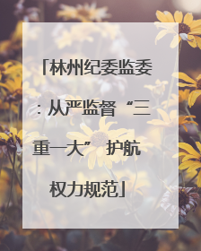 林州纪委监委：从严监督“三重一大” 护航权力规范