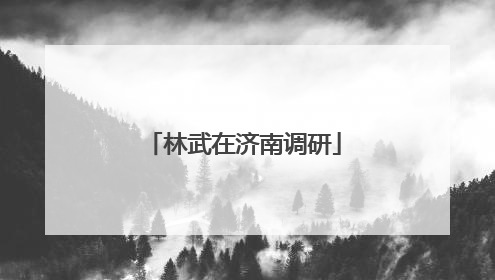 林武在济南调研