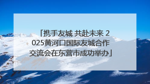 携手友城 共赴未来 2025黄河口国际友城合作交流会在东营市成功举办