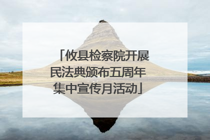 攸县检察院开展民法典颁布五周年集中宣传月活动