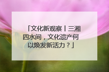 文化新观察丨三湘四水间，文化遗产何以焕发新活力？