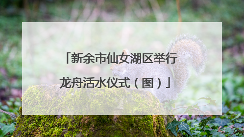 新余市仙女湖区举行龙舟活水仪式（图）