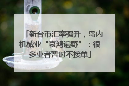 新台币汇率强升，岛内机械业“哀鸿遍野”：很多业者暂时不接单