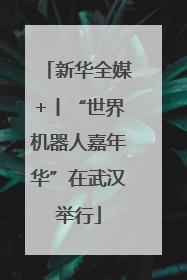 新华全媒+丨“世界机器人嘉年华”在武汉举行