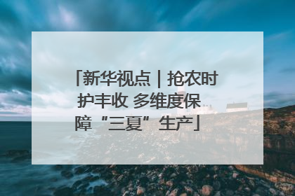 新华视点｜抢农时 护丰收 多维度保障“三夏”生产
