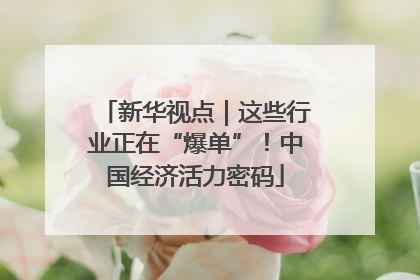 新华视点｜这些行业正在“爆单”！中国经济活力密码