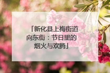 新化县上梅街道向东街：节日里的烟火与欢腾