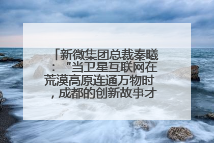 新微集团总裁秦曦：“当卫星互联网在荒漠高原连通万物时，成都的创新故事才真正开始”