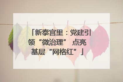 新泰宫里：党建引领“微治理” 点亮基层“网格红”