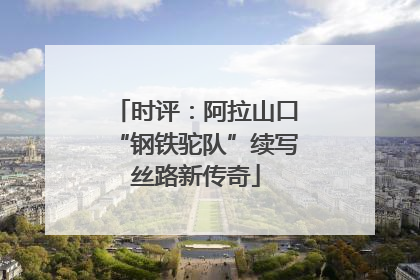 时评：阿拉山口“钢铁驼队”续写丝路新传奇