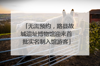 无需预约，路县故城遗址博物馆迎来首批实名制入馆游客