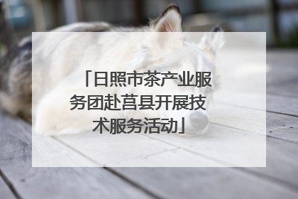 日照市茶产业服务团赴莒县开展技术服务活动