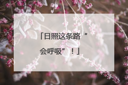 日照这条路“会呼吸”！