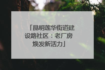 昆明莲华街道建设路社区：老厂房焕发新活力