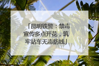 昆明铁警：禁毒宣传多点开花，筑牢站车无毒防线