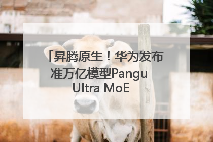 昇腾原生！华为发布准万亿模型Pangu Ultra MoE模型架构和训练细节