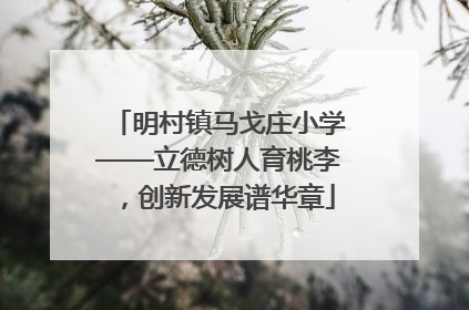 明村镇马戈庄小学——立德树人育桃李，创新发展谱华章