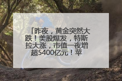 昨夜，黄金突然大跌！美股爆发，特斯拉大涨，市值一夜增超5400亿元！苹果传来大消息