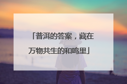 普洱的答案，藏在万物共生的和鸣里