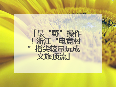 最“野”操作！浙江“电竞村”指尖较量玩成文旅顶流