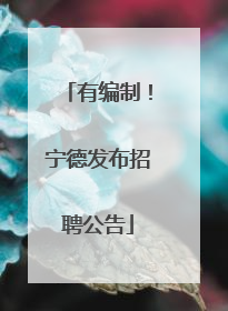 有编制！宁德发布招聘公告