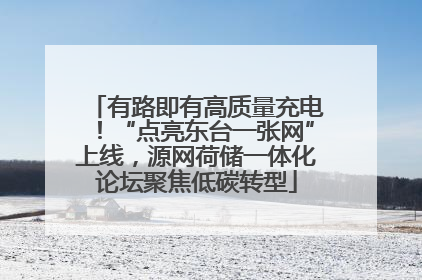 有路即有高质量充电！“点亮东台一张网”上线，源网荷储一体化论坛聚焦低碳转型